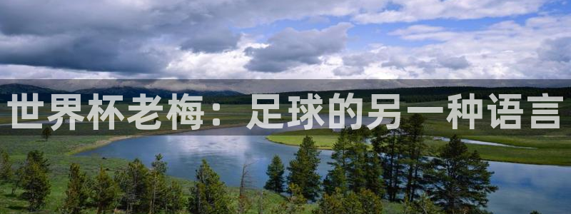 欧洲区世界杯预选赛：世界杯老梅：足球的另一种语言