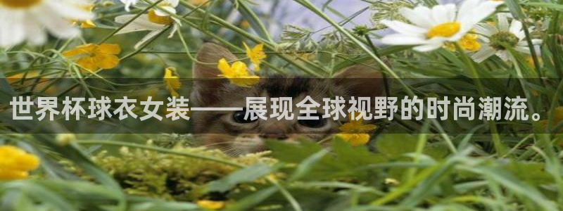 世界杯直播网站：世界杯球衣女装——展现全球视野的时尚潮流。