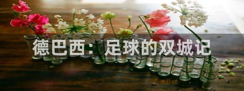 世界杯2026赛程时间表格：德巴西：足球的双城记
