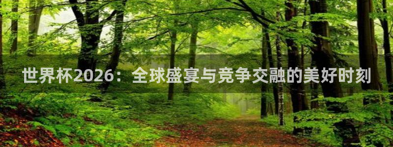 世界杯48支球队赛制：世界杯2026：全球盛宴与竞争交融的美好时刻