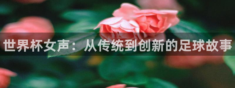 世界杯 直播：世界杯女声：从传统到创新的足球故事