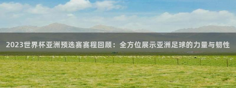 2006年世界杯：2023世界杯亚洲预选赛赛程回顾：全方位展示亚洲足球的力量与韧性