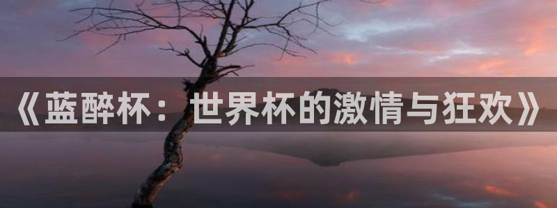 英格兰联赛杯直播：《蓝醉杯：世界杯的激情与狂欢》