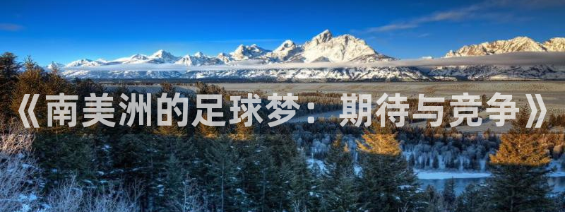 世界杯2026赛程表：《南美洲的足球梦：期待与竞争》
