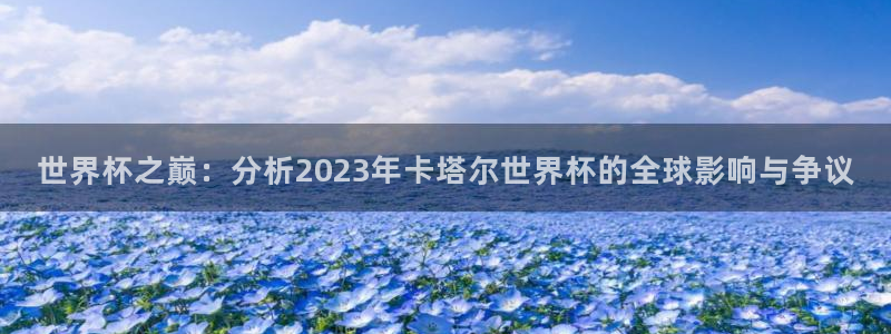 预选赛世界杯：世界杯之巅：分析2023年卡塔尔世界杯的全球影响与争议