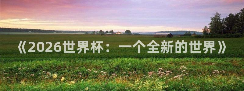 世界杯足球赛：《2026世界杯：一个全新的世界》
