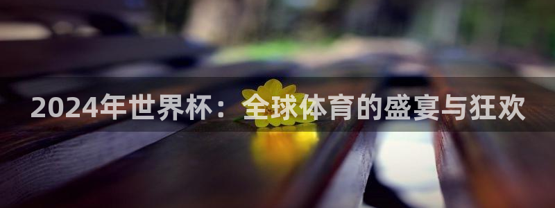 2006世界杯：2024年世界杯：全球体育的盛宴与狂欢