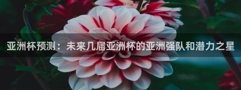2026世界杯足球赛程时间表：亚洲杯预测：未来几届亚洲杯的亚洲强队和潜力之星