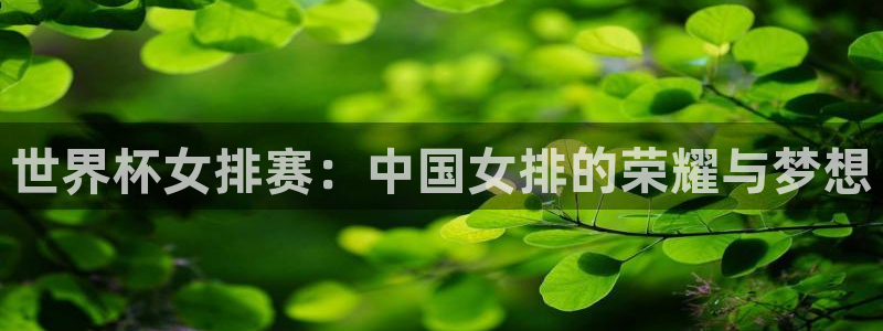 世界杯预选赛亚洲区积分榜：世界杯女排赛：中国女排的荣耀与梦想