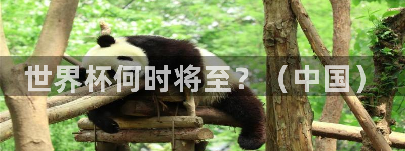 世界杯对阵表：世界杯何时将至？（中国）