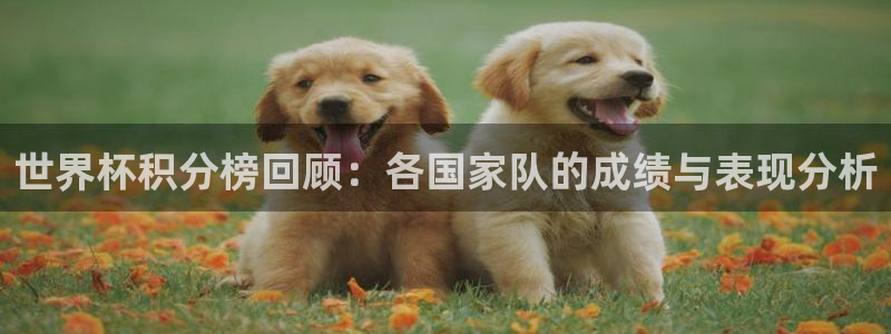 世界杯亚洲区预选赛积分榜：世界杯积分榜回顾：各国家队的成绩与表现分析