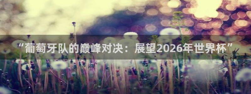 2026足球世界杯赛程时间表：“葡萄牙队的巅峰对决：展望2026年世界杯”