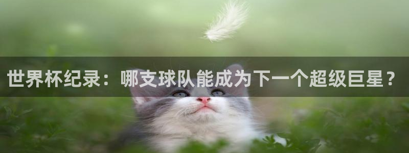 葡萄牙世界杯赛程：世界杯纪录：哪支球队能成为下一个超级巨星？