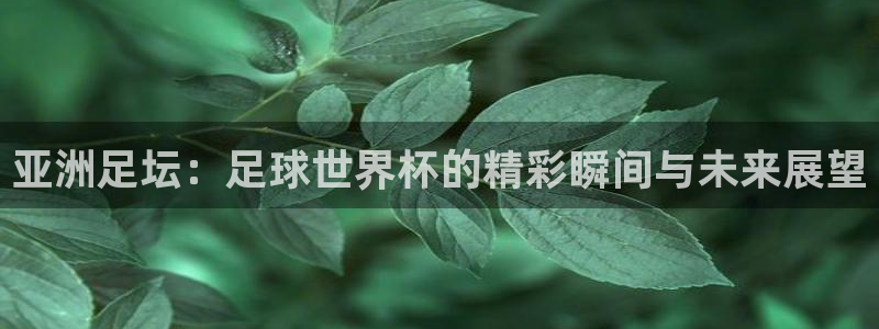世界杯亚洲区预选赛：亚洲足坛：足球世界杯的精彩瞬间与未来展望