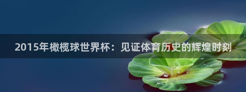 世界杯直播在线观看入口：2015年橄榄球世界杯：见证体育历史的辉煌时刻