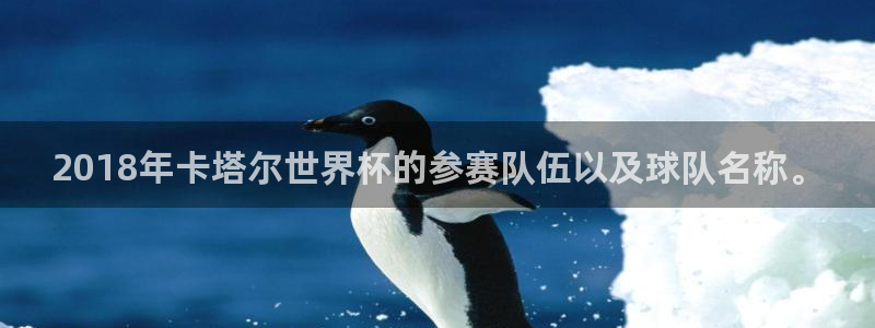 世界杯预选赛2026：2018年卡塔尔世界杯的参赛队伍以及球队名称。