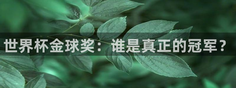 今天所有足球赛程表：世界杯金球奖：谁是真正的冠军？