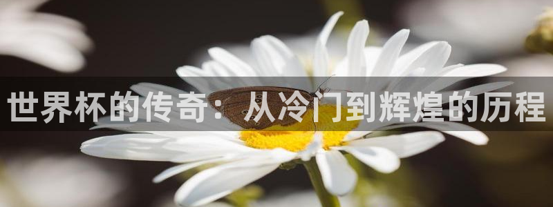 世界杯在线直播：世界杯的传奇：从冷门到辉煌的历程